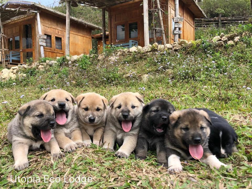 Utopia Eco Lodge Sa Pa Luaran gambar